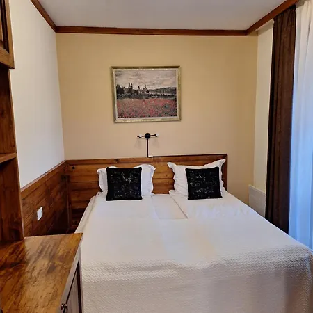 St Ivan Rilski Private Apartment - 4 Stars Spa - Slopes View
